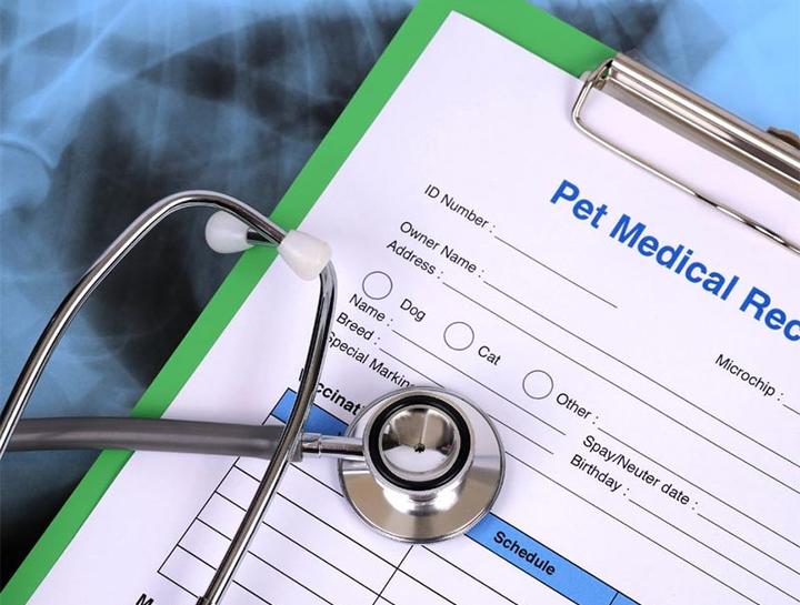 Pet Portal Whittier Dog and Cat Hospital